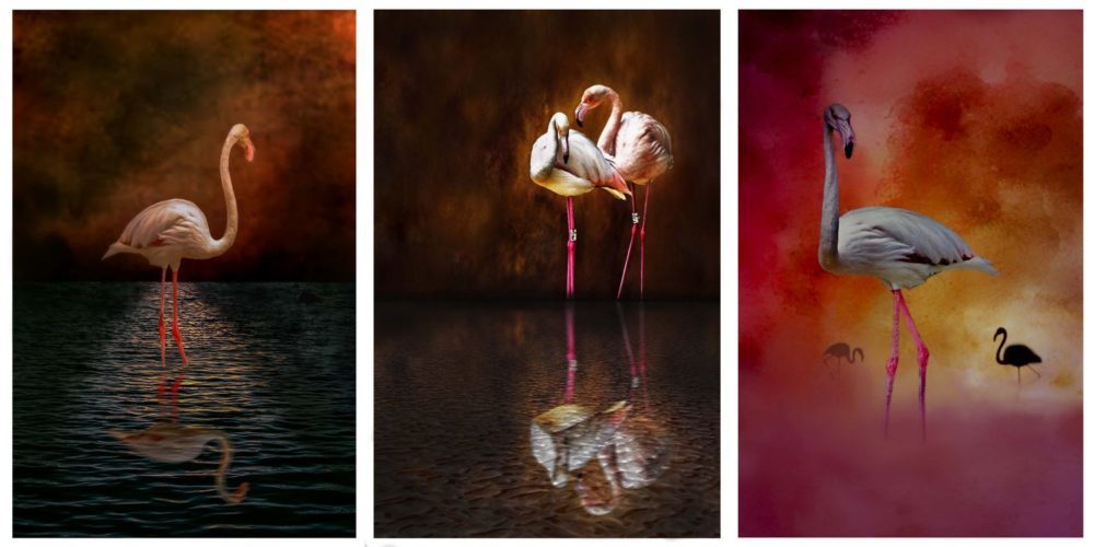 concurso serie de tres 2019 contraste variable
