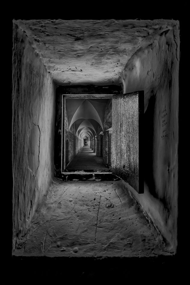 blando y negro 2019 contraste variable
