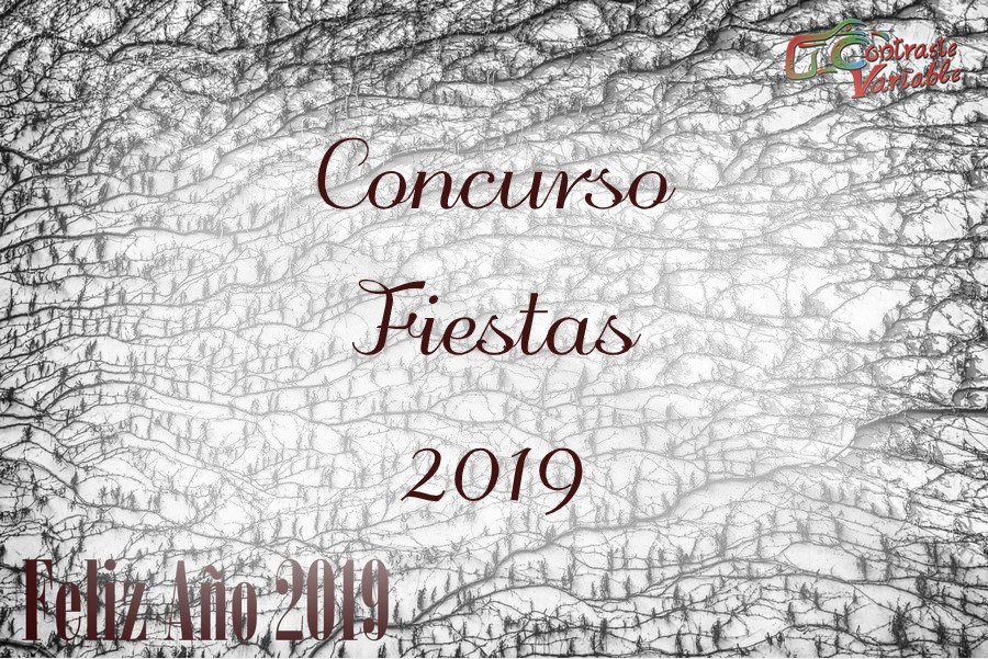 concurso fiestas 2019