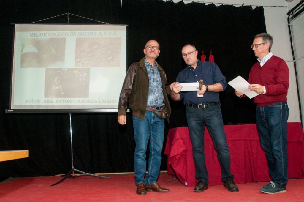 entrega de premio a mejor serie general