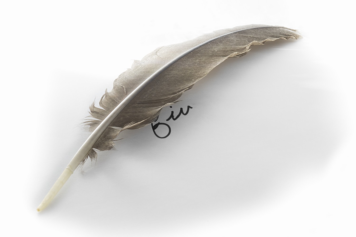 pluma con la palabra fin