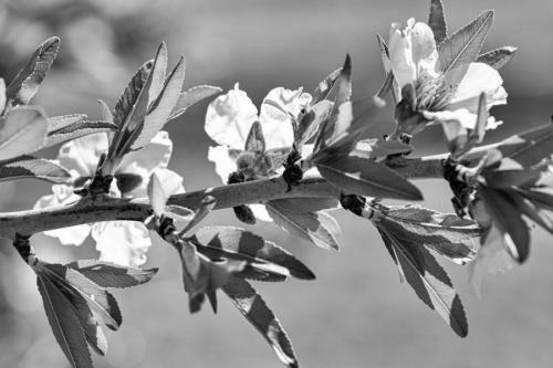 Blanco-y-negro-2020_Jotaeme_1