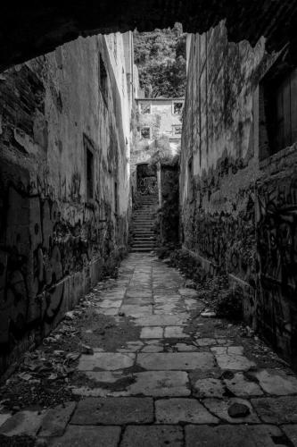 Blanco-y-negro-2020_guillermoperea-callejon