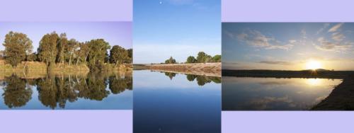 Serie de tres 2020_PGUISADO-REFLEJOS