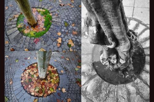 Serie de tres 2020_Paolo1 (1)