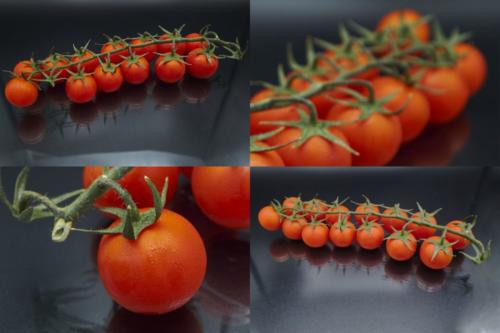 Serie de tres 2020_Paolo1 (2)