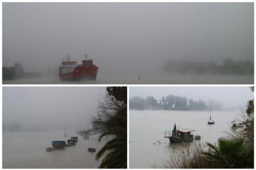 Serie de tres 2020_Pepe Niebla4