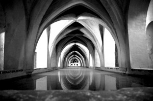Blanco y negro - Jesmo - Dig - 3