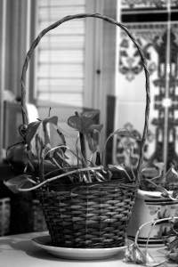 Blanco y negro - Jotaeme - Dig - 3
