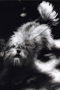 Blanco y negro - Juan Zafra Pintor - An - 4