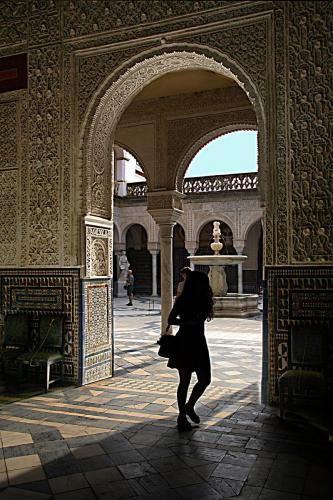 Fuentes Paco Bravo 1