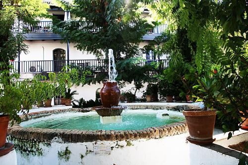 Fuentes Paco Bravo 2