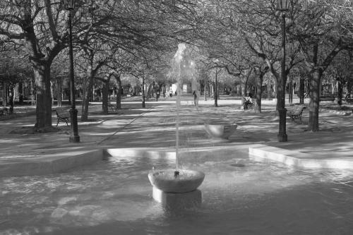 Fuentes Paolo Benzi 1